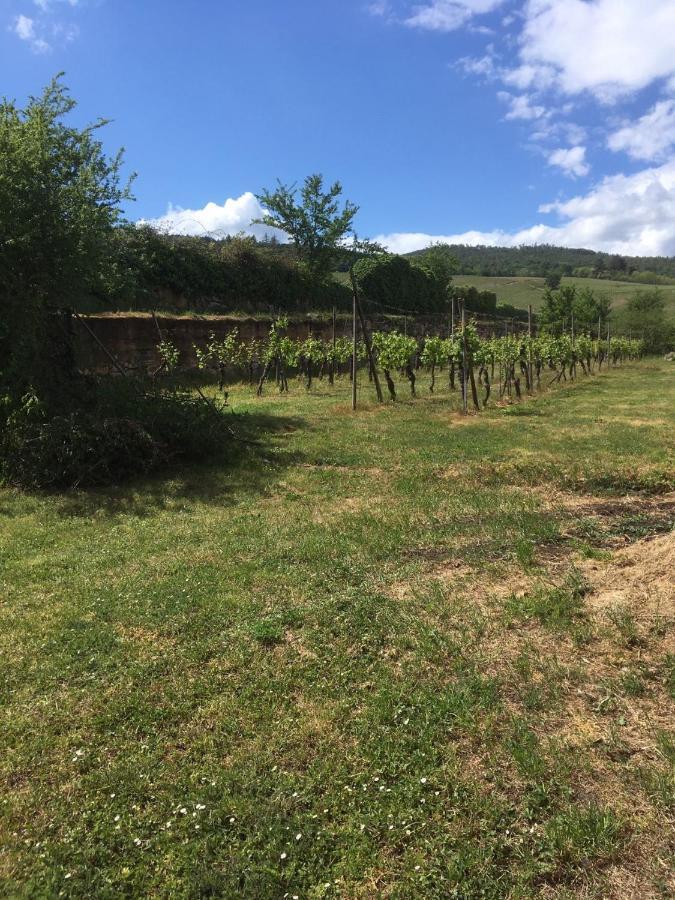 Beck Domaine Du Rempart Villa Dambach Eksteriør billede