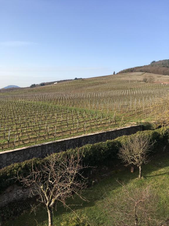 Beck Domaine Du Rempart Villa Dambach Eksteriør billede