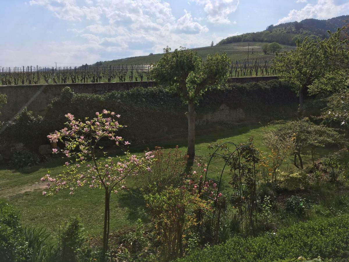 Beck Domaine Du Rempart Villa Dambach Eksteriør billede